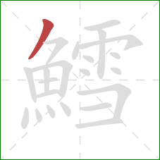 鱈的笔顺第1画：撇