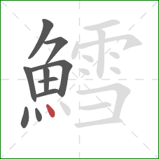 鱈的笔顺第10画：点