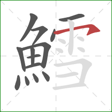 鱈的笔顺第14画：横钩