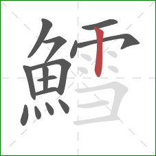 鱈的笔顺第15画：竖