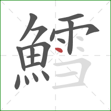 鱈的笔顺第17画：点