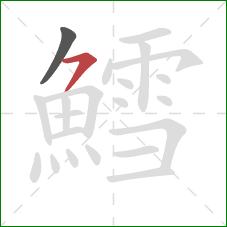 鱈的笔顺第2画：横撇