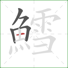 鱈的笔顺第5画：横