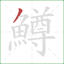 鱒的笔顺第1画：撇