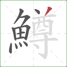 鱒的笔顺第13画：撇