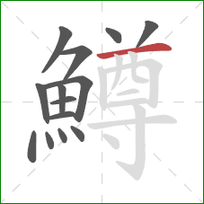 鱒的笔顺第14画：横