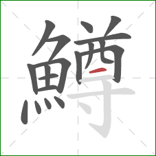 鱒的笔顺第19画：横