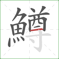 鱒的笔顺第20画：横