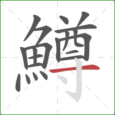 鱒的笔顺第21画：横