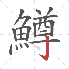 鱒的笔顺第22画：竖钩