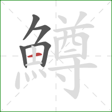 鱒的笔顺第5画：横