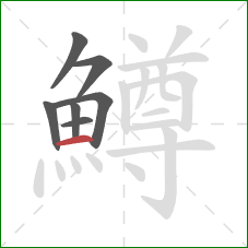 鱒的笔顺第7画：横