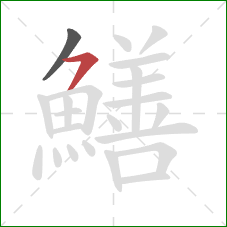 鱔的笔顺第2画：横撇