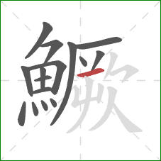 鱖的笔顺第16画：横