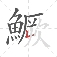 鱖的笔顺第17画：竖折