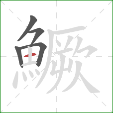 鱖的笔顺第5画：横