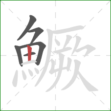 鱖的笔顺第6画：竖