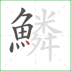 鱗的笔顺第11画：点