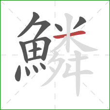 鱗的笔顺第14画：横