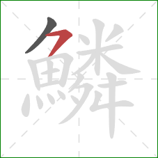 鱗的笔顺第2画：横撇