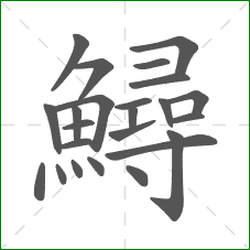 鱘的笔顺 鱘的笔顺