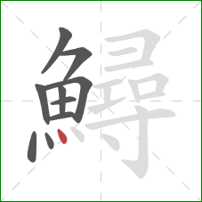鱘的笔顺第10画:点 鱘的笔顺第10画:点