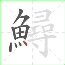 鱘的笔顺第11画:点 鱘的笔顺第11画:点
