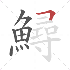 鱘的笔顺第12画:横折 鱘的笔顺第12画:横折