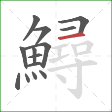 鱘的笔顺第14画:横 鱘的笔顺第14画:横