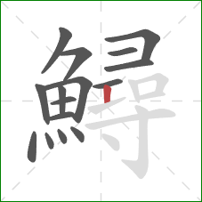 鱘的笔顺第16画:竖 鱘的笔顺第16画:竖