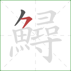 鱘的笔顺第2画:横撇 鱘的笔顺第2画:横撇