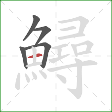 鱘的笔顺第5画:横 鱘的笔顺第5画:横