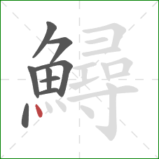 鱘的笔顺第9画:点 鱘的笔顺第9画:点