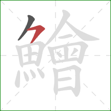 鱠的笔顺第2画：横撇