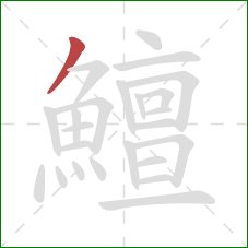 鱣的笔顺第1画:撇 鱣的笔顺第1画:撇