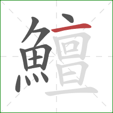 鱣的笔顺第13画:横 鱣的笔顺第13画:横