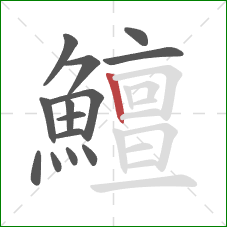 鱣的笔顺第14画:竖 鱣的笔顺第14画:竖