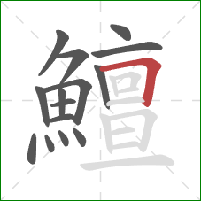 鱣的笔顺第15画:横折 鱣的笔顺第15画:横折