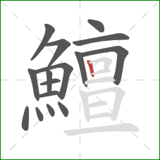 鱣的笔顺第16画:竖 鱣的笔顺第16画:竖