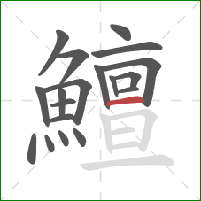 鱣的笔顺第19画:横 鱣的笔顺第19画:横