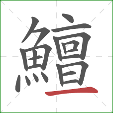 鱣的笔顺第24画:横 鱣的笔顺第24画:横