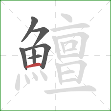 鱣的笔顺第7画:横 鱣的笔顺第7画:横