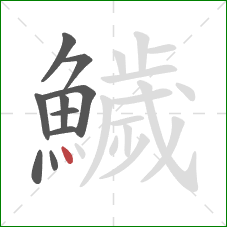 鱥的笔顺第10画：点