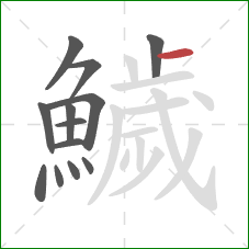 鱥的笔顺第13画：横