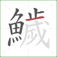 鱥的笔顺第15画：横