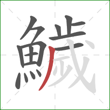 鱥的笔顺第17画：撇