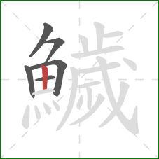 鱥的笔顺第6画：竖