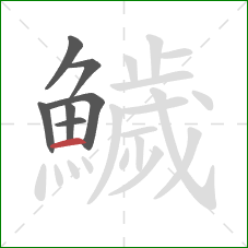 鱥的笔顺第7画：横