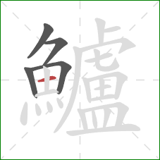 鱸的笔顺第5画:横 鱸的笔顺第5画:横