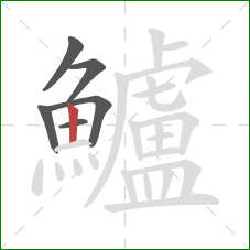 鱸的笔顺第6画:竖 鱸的笔顺第6画:竖